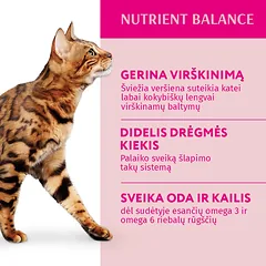 OPTIMEAL ™ konservuotas pašaras suaugusioms katėms su veršiena spanguolių padaže 12x0.085 kg — 2 nuotrauka