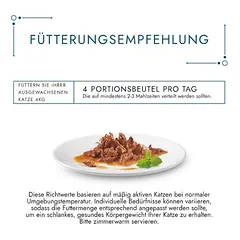 4 + 1 dovanų! 5 x Gourmet Perle drėgnas maistas katėms