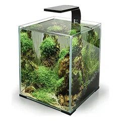 Leddy Smart 4,8 W Plant šviestuvas (juodas) — 3 nuotrauka