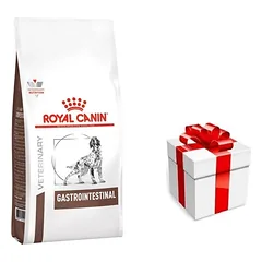 ROYAL CANIN Gastro Intestinal GI25 2kg  + STAIGMENA ŠUNIUI