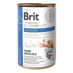 Brit GF Veterinary Diets Recovery konservai šunims ir katėms, 400g