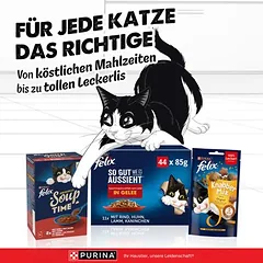 Felix „So gut wie es aussieht“ maišeliai, drėgnas maistas katėms 24 x 85 g — 4 nuotrauka