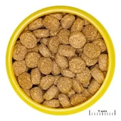 JBL ProNovo Crabs Wafer M pašaras krabams ir krevetėms 250 ml — 2 nuotrauka