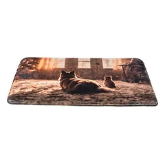 Trixie Xmas Lying Mat miego vieta šunims ir katėms, 50 × 40 cm