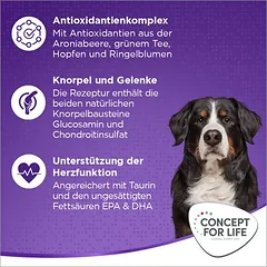 Concept for Life X-Large Adult sausas maistas šunims, > 10 kg — 4 nuotrauka
