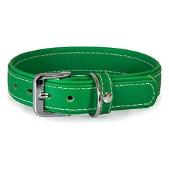 Das Lederband Hundehalsband Barcelona Summer-Green