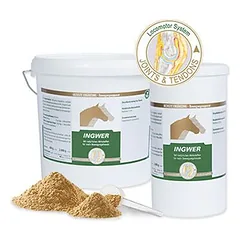 Equipower Ingwer 100 %