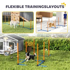 Agility rinkinys Oranžinė+Mėlyna+Juoda 3 vnt. — 4 nuotrauka