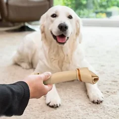 SmartBones šunų kaulas su vištiena dideliems šunims — 4 nuotrauka