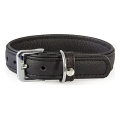 Das Lederband Hundehalsband Denver schwarz/schwarz