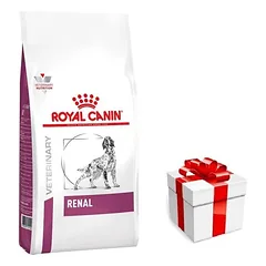 ROYAL CANIN Renal RF 14 2kg + STAIGMENA ŠUNIUI