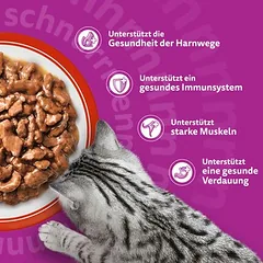 Whiskas Megapack Senior maišeliai, drėgnas maistas katėms 48 x 85 g — 5 nuotrauka