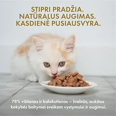 Visų veislių kačiukų šlapias pašaras su kalakutiena ir vištiena, 85 g — 2 nuotrauka