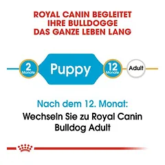 Royal Canin Bulldog Puppy sausas maistas šuniukams — 4 nuotrauka