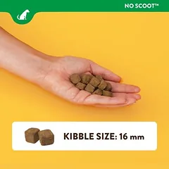 NaturVet No Scoot, papildas šunims, 120 kramtomųjų kubelių — 4 nuotrauka