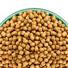 James Wellbeloved Adult Cat Hypoallergenic su žuvimi ir ryžiais, sausas maistas katėms, 3 - 4,9 kg — 3 nuotrauka