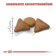 Royal Canin Indoor Appetite Control sausas maistas katėms — 3 nuotrauka