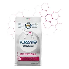 FORZA10 VetDiet INTESTINAL All Breed sausas maistas suaugusiems šunims