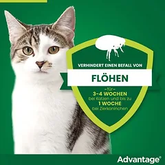 Advantage® für Katzen und Zierkaninchen