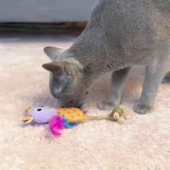HAP žaislas katei, paukštelis su katžole,15cm — 4 nuotrauka