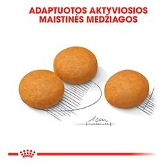 Royal Canin Dog Dermacomfort Maxi visavertis pašaras dideliems šunims linkusiems į odos sudirginimą ir niežėjimą., 12 kg — 2 nuotrauka