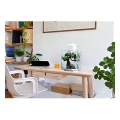 Aquael Shrimp Set Smart Day&Night 20 Black akvariumas su įranga krevetėms 20 l — 3 nuotrauka