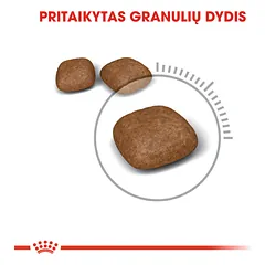 ROYAL CANIN FCN Urinary care sausas maistas katėms, šlapimo sistemos veiklai 2 kg — 3 nuotrauka