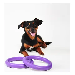 Žaislas - mankštos priemonė šunims PULLER Mini 18 cm — 2 nuotrauka