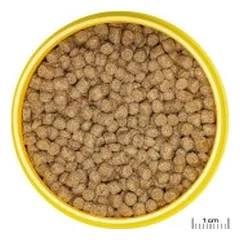 JBL ProNovo Lotl Grano M pašaras aksolotliams 250 ml — 2 nuotrauka