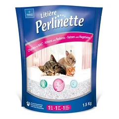 DEMAVIC - PERLINETTE KITTEN UND NAC WURF - DEMAVIC
