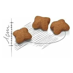 Royal Canin FHN Kitten Sterilised sausas maistas kačiukams 400 g — 3 nuotrauka