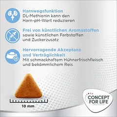 Concept for Life Light Adult sausas maistas katėms – patobulinta receptūra!, 3 - 4,9 kg — 5 nuotrauka