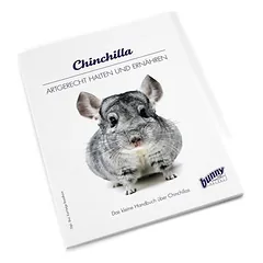 Bunny Nature bunnyBooks Chinchilla