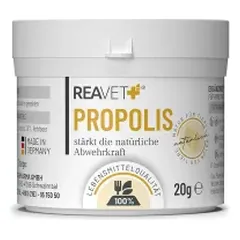 ReaVET bičių pikio (propolio) ekstraktas šunims ir katėms, milteliai
