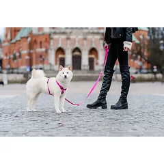 Reguliuojamas ilgas šunų pavadėlis Chaba Classic, 20 mm – 260 cm, fuksijos spalvos — 5 nuotrauka