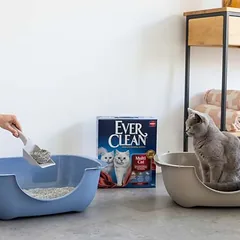 Ever Clean® kietėjantis kraikas Multi Cat, Ekonominė pakuotė: 2 x 10 l — 2 nuotrauka