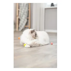 Kamuoliukų su iškilimais rinkinys TRIXIE Guma 3.5cm 4 vnt. parduotuvėje Petz.lt