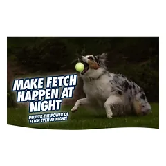 Chuckit! Max Glow Ultra Squeaker Ball M šviečiantis kamuolys — 5 nuotrauka