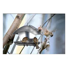 Lesyklėlė paukščiams 182*248*174 mm antracitas BIRDYFEED SQUARE Prosperplast — 2 nuotrauka