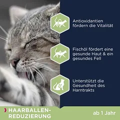 Eukanuba Hairball Control Adult, sausas maistas katėms — 5 nuotrauka
