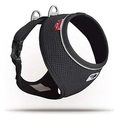 Curli Basic Air-Mesh petnešos šunims XS — 4 nuotrauka