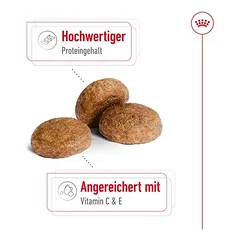 Royal Canin Medium Adult 7+ sausas maistas šunims, > 10 kg — 4 nuotrauka