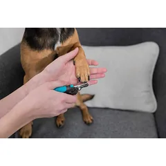 Trixie nagų kirpimo žirklės šunims ir katėms, 12 cm — 3 nuotrauka