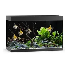 Akvariumas Rio 290 LED, baltas — 5 nuotrauka