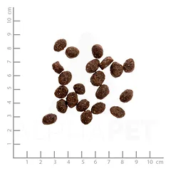 Wildes Land Classic Adult Beef sausas maistas katėms jautiena ir antiena su daržovėmis, 400 g — 3 nuotrauka