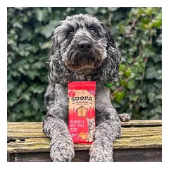 SOOPA Spanguolių ir saldžiųjų bulvių lazdelės šunims, Cranberry & Sweet Potato Dog Dental Sticks, 100g — 4 nuotrauka