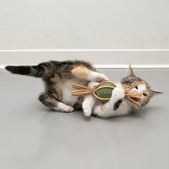 Modern Living Catnip Candy Samarkand, žaislas katėms, 1 vnt. — 3 nuotrauka