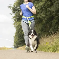 FLAMINGO Jogginggurt mit Leine, Extra-groß > 45 kg — 2 nuotrauka