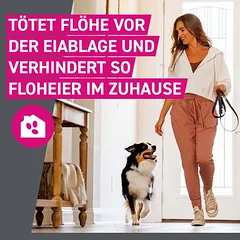 Frontline® TRI-ACT šunims S (5 - 10 kg), Mažiems 5–10 kg — 4 nuotrauka