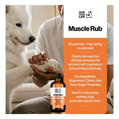 DOGSLIFE Epsom Salt Gel MoveEase Muscle Rub gelis šunims, raumenų veiklai 250 ml — 4 nuotrauka